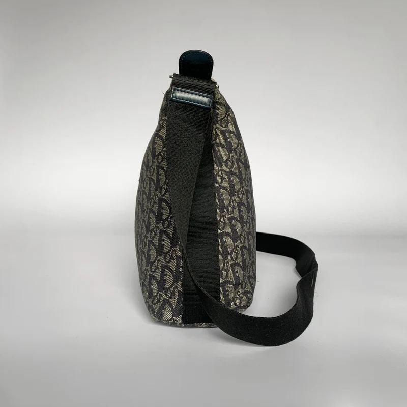 Dior Umhängetasche Oblique Canvas