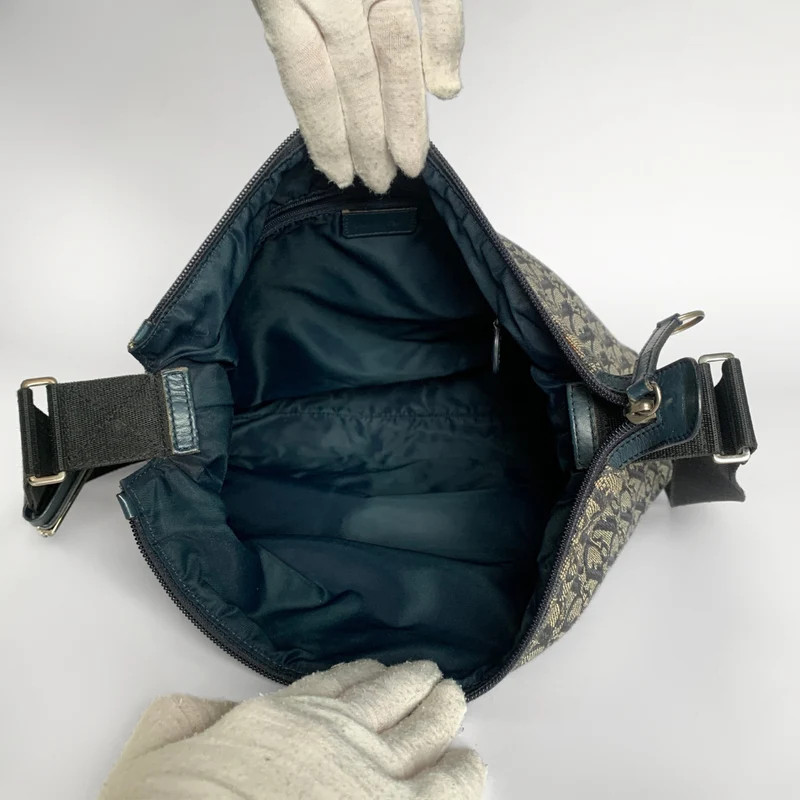 Dior Umhängetasche Oblique Canvas