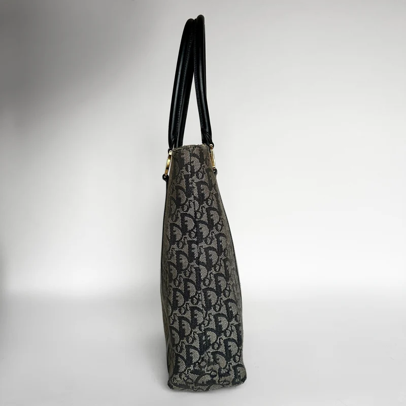 Dior Shopper Schräge Leinwand